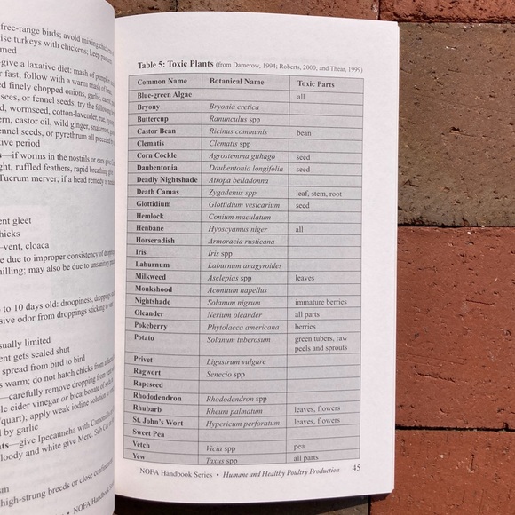 NOFA Humane and Healthy Poultry Production Publication Chicken Hen Homesteading - Picture 7 of 8